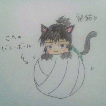 留猫