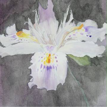 花１