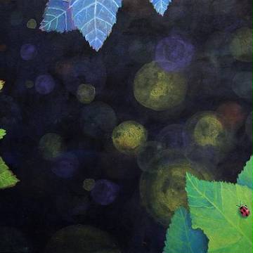 夜光