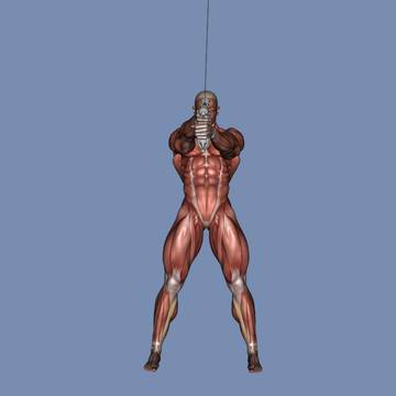 【作画資料】剣_構え2