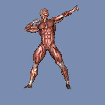 【作画資料】弓