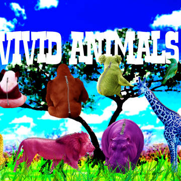 VIVID ANIMALS