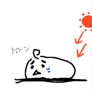 くずもち大百科