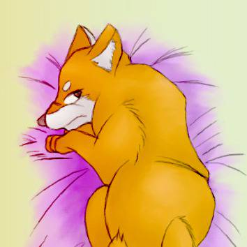 柴犬