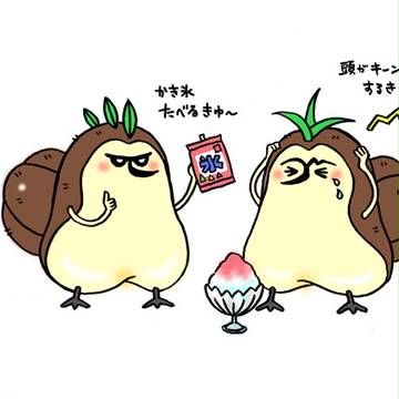キュイ族と夏の味覚3