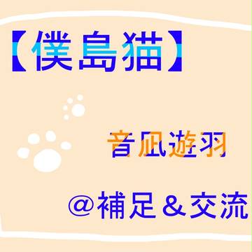 【僕島猫】遊羽【補足・交流】