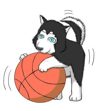 2号かわいいよ2号
