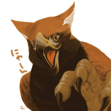きしゃー