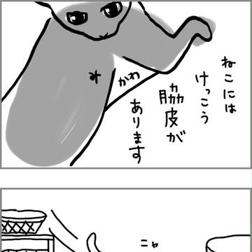 脇皮