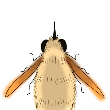 小さいもふもふな飛ぶ虫