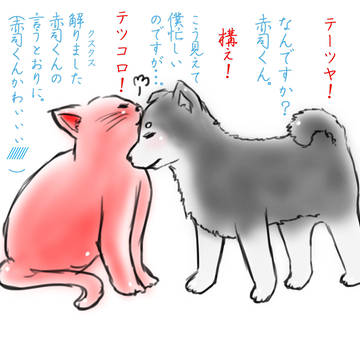 黒赤が天使って本当ですよね?