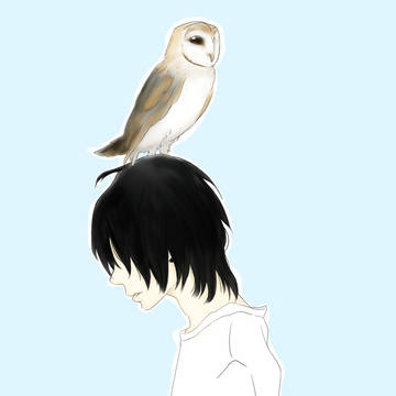梟