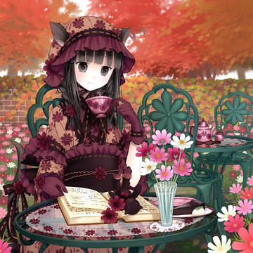 秋桜とチョコレート
