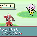 ももたん がとびだしてきた!