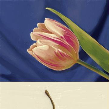 3DS新絵心教室で描いてみた