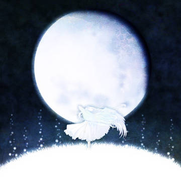 白い世界