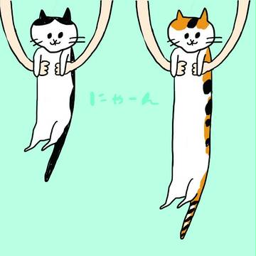 にゃーん