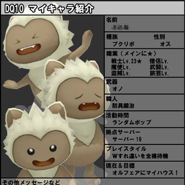 【DQ10】マイキャラ紹介