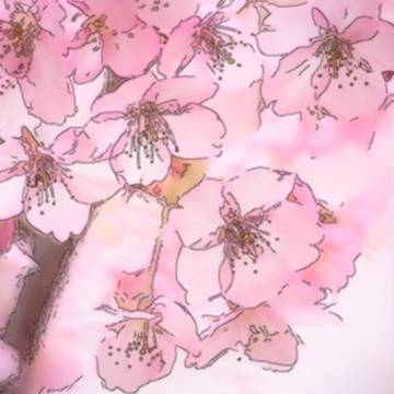 桜