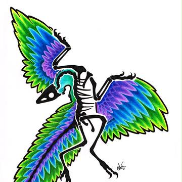 Archaeopteryx