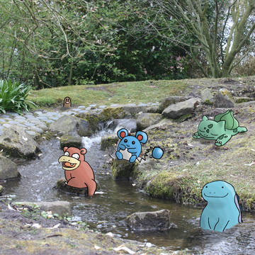Pokemon Creek