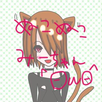 猫みーちゃん！