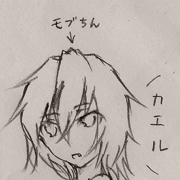＼カエル／
