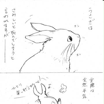 うさぎ≠プロイセン