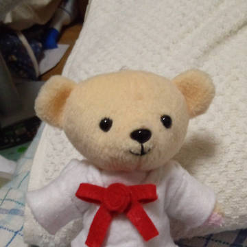 イヴちゃん風に服を作ってみた