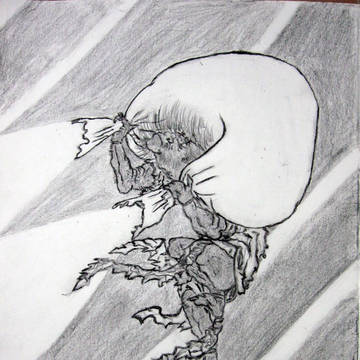 風1