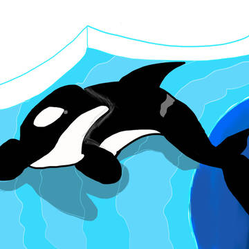 水族館にシャチ