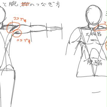 デッサン練習。トルソーと腕のつなぎ方