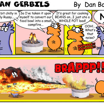 Urban gerbils. Campfire