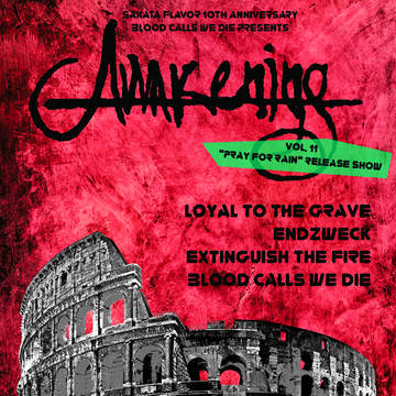 Awakening vol.11