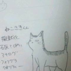 ねこさきくん