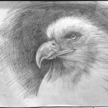 素描练习
