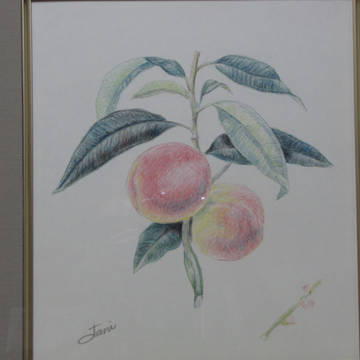 桃