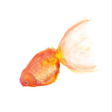 金魚