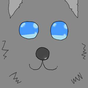 わんこ