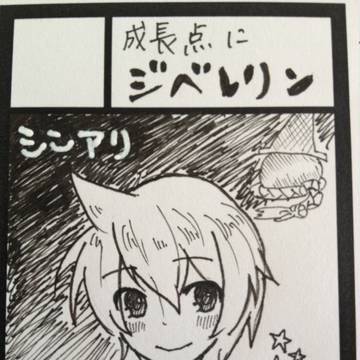 千夜一夜5参加します!