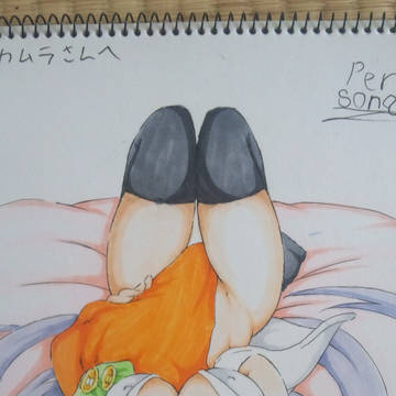 ついぴくにあげた