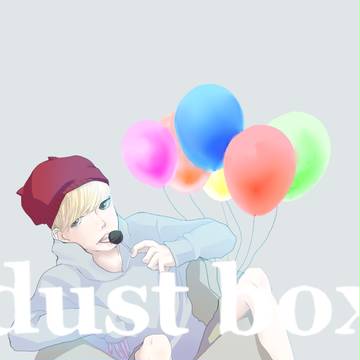 dust box