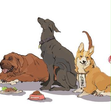 犬に例えると