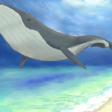 くじら
