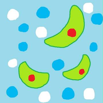 ミカヅキモ