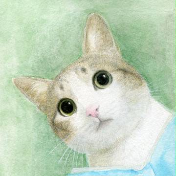 何を見てるんだい?