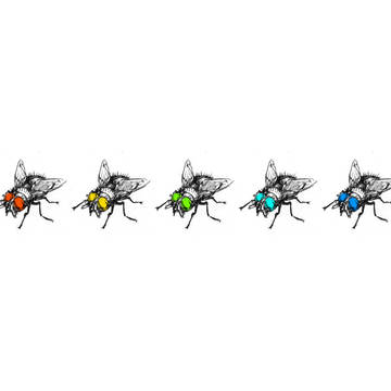 Fly Wall Paper