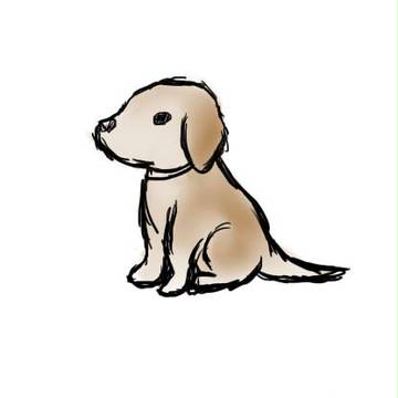 わんこの練習