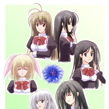 エルダー