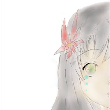 泪